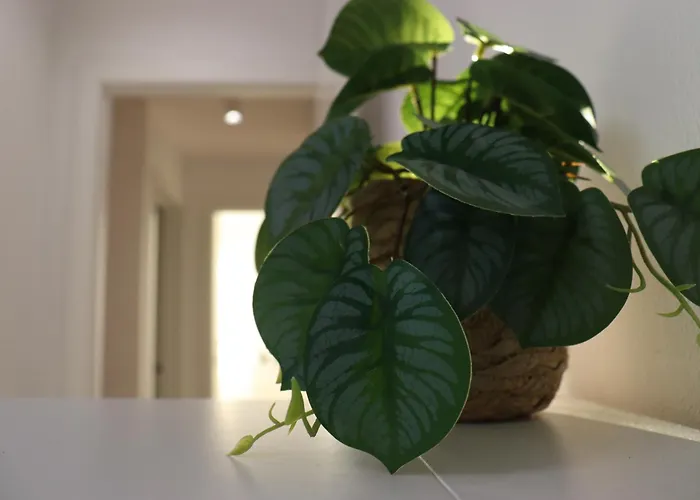 Cozy Oasis Vista Mare * Costa Adeje (Tenerife)