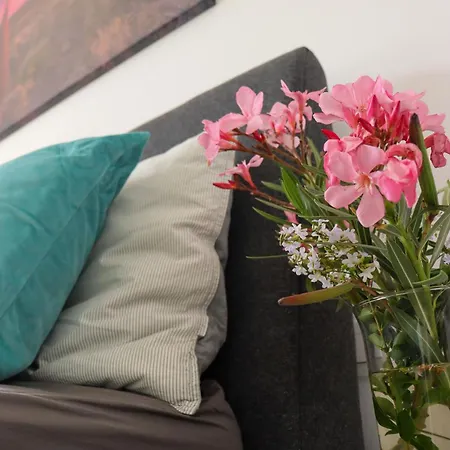 Cozy Oasis Vista Mare 别墅